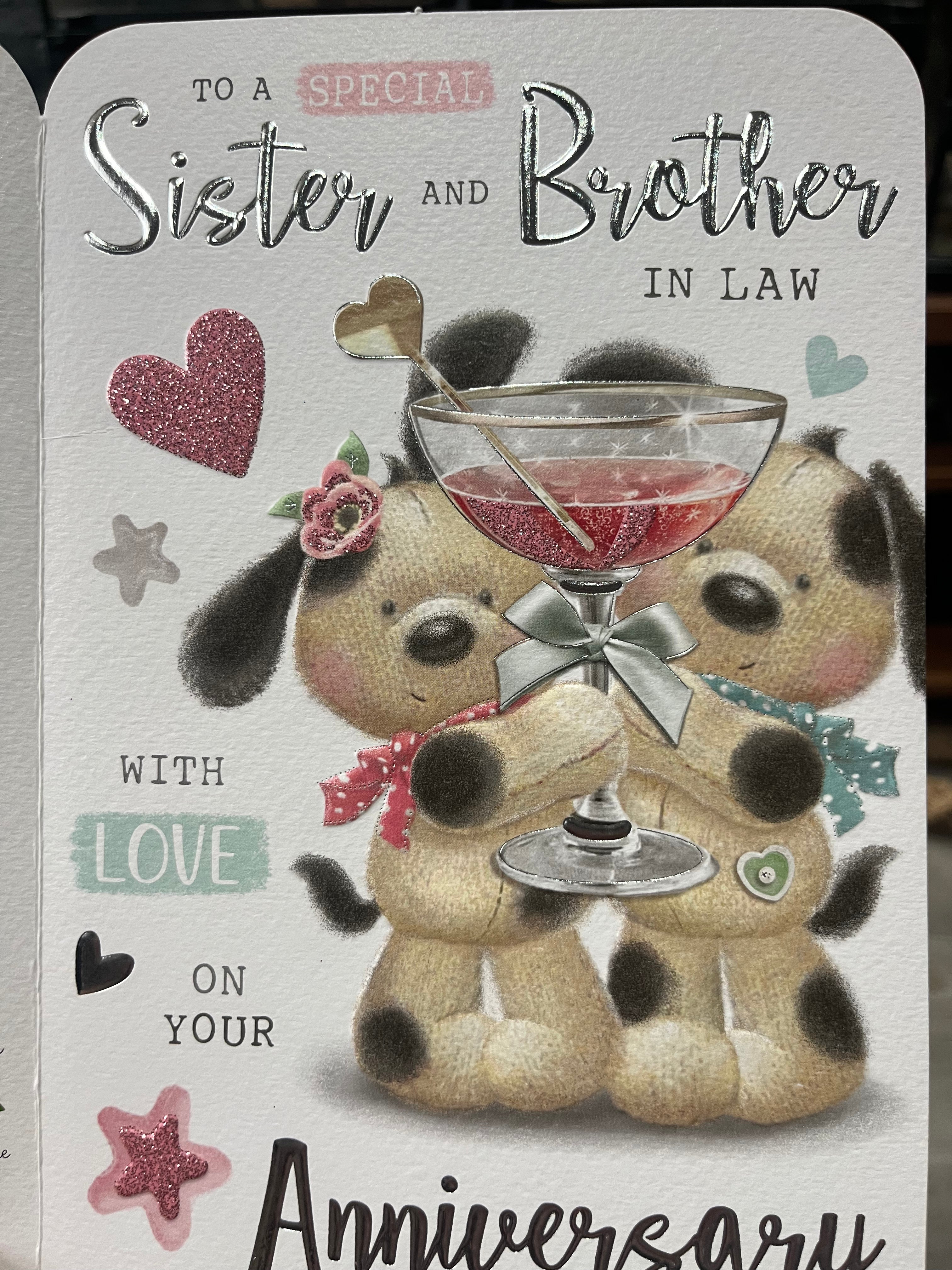 Sister and Brother in Law Anniversary Card