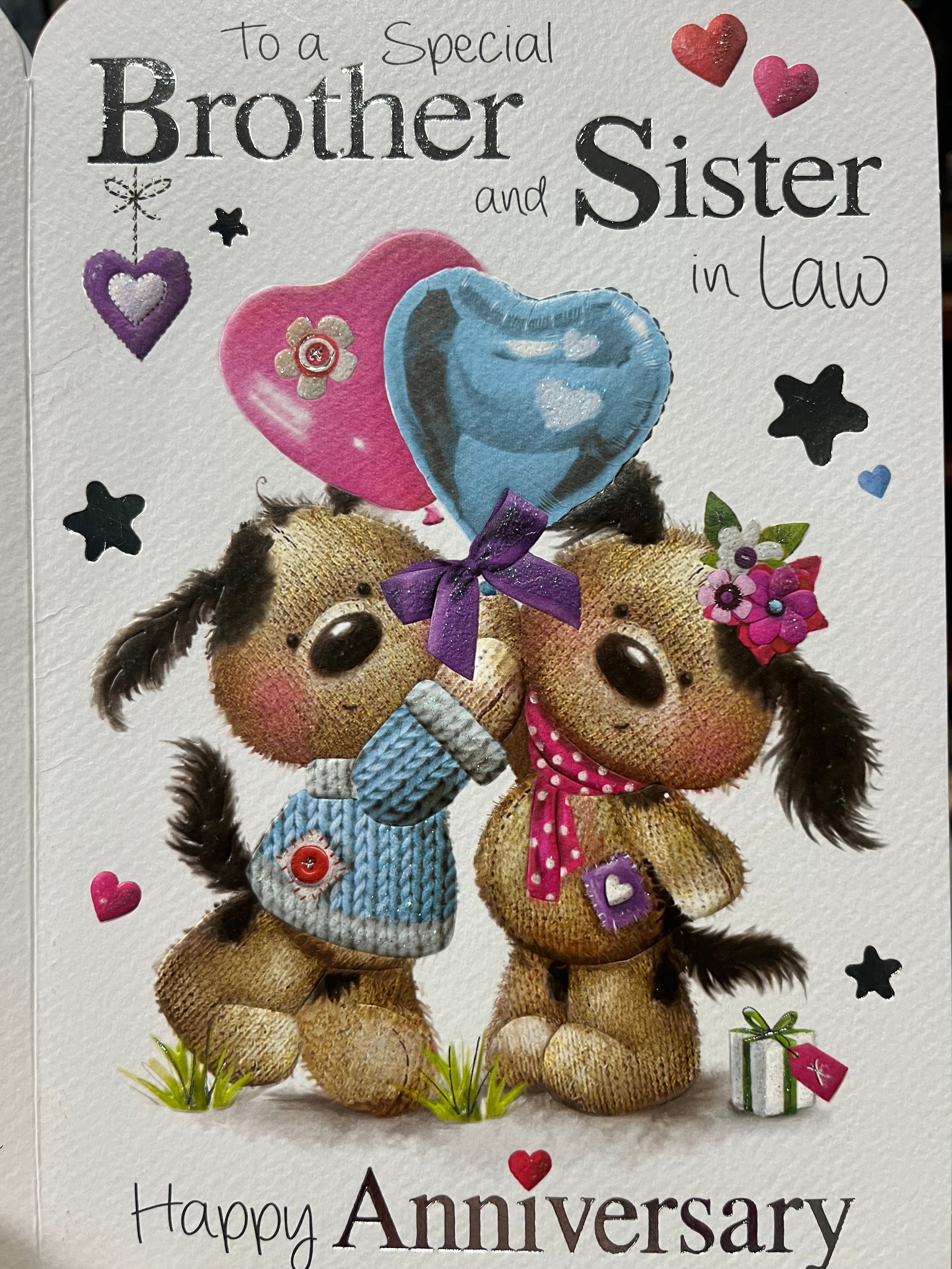 Brother and Sister in Law Anniversary Card