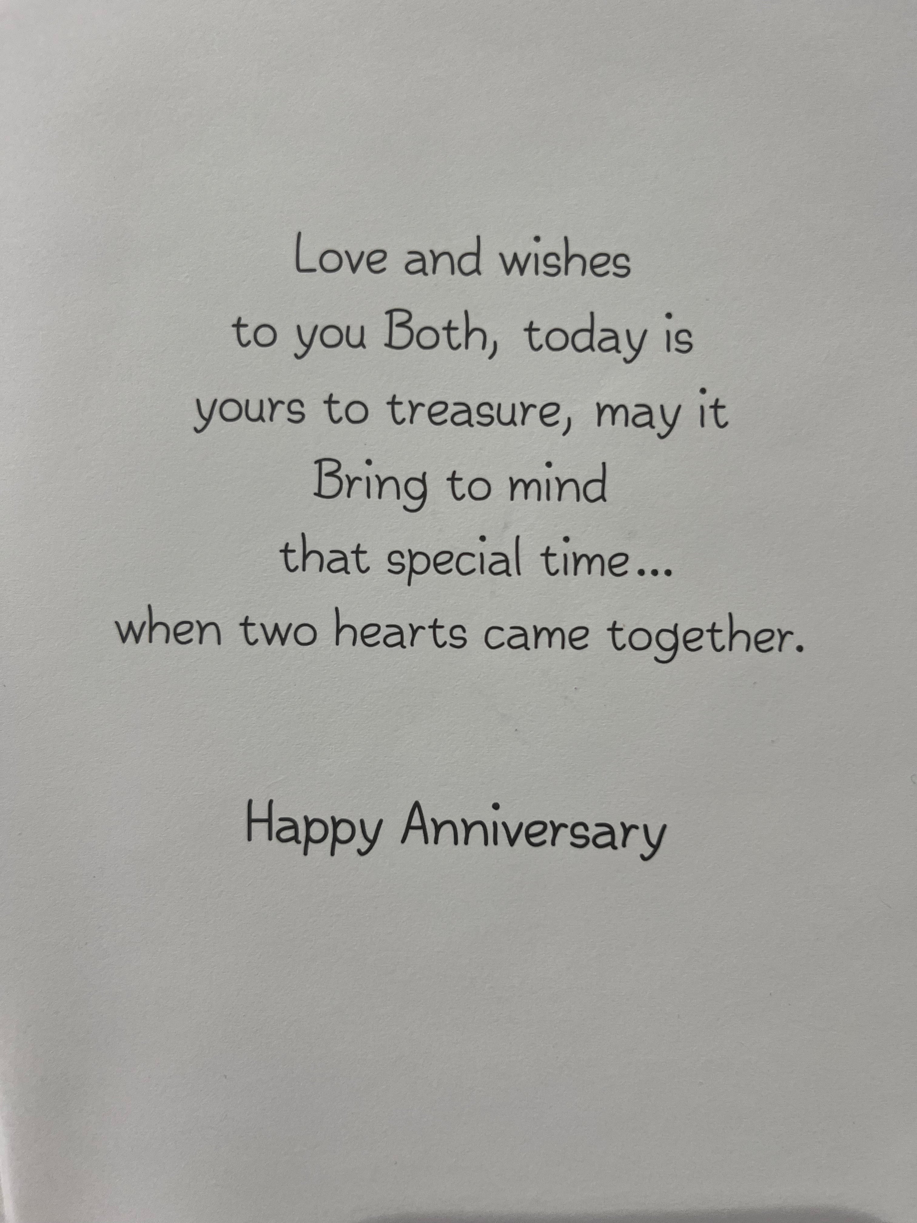 Brother and Sister in Law Anniversary Card