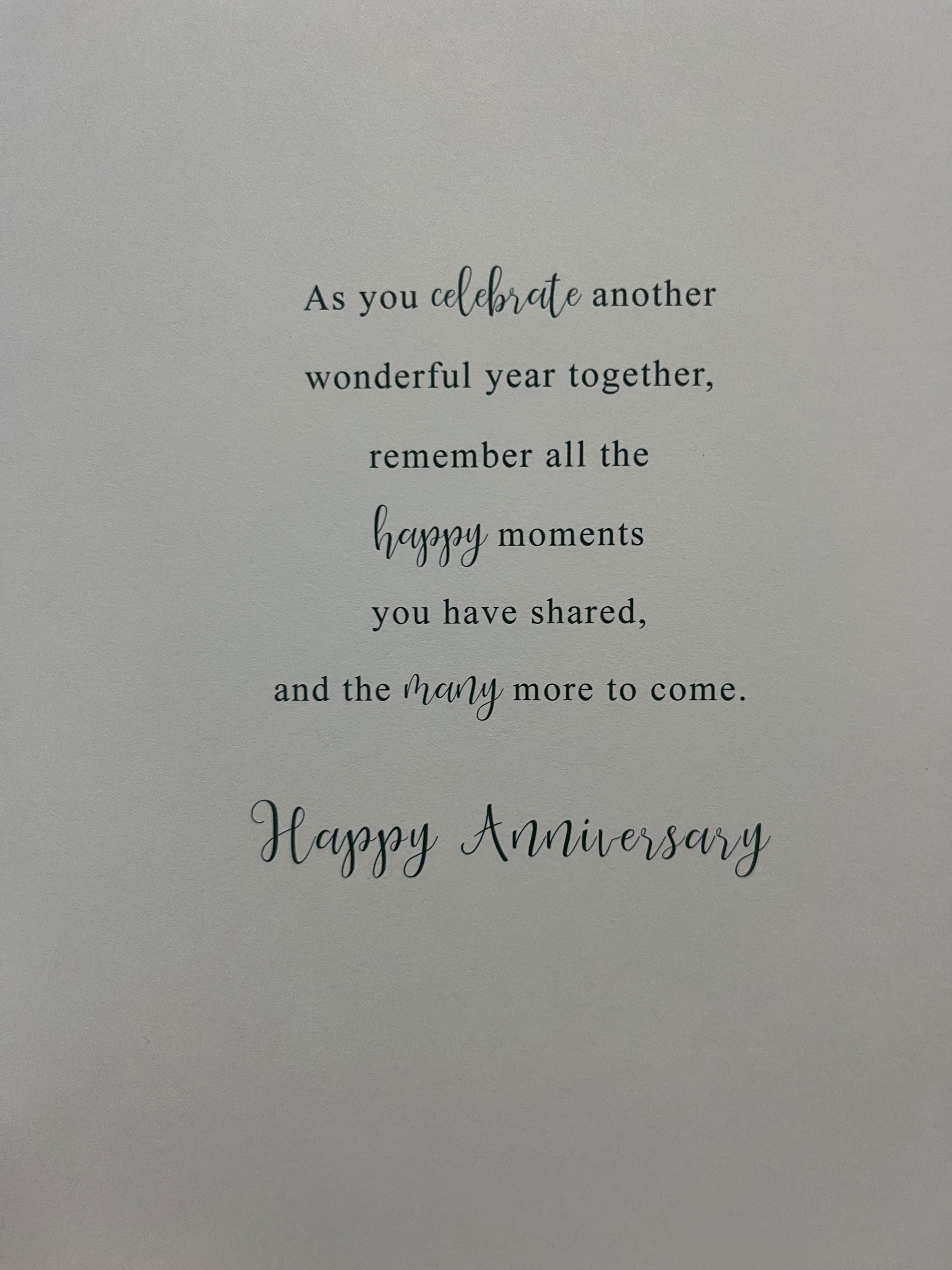 Brother and Sister in Law Anniversary Card