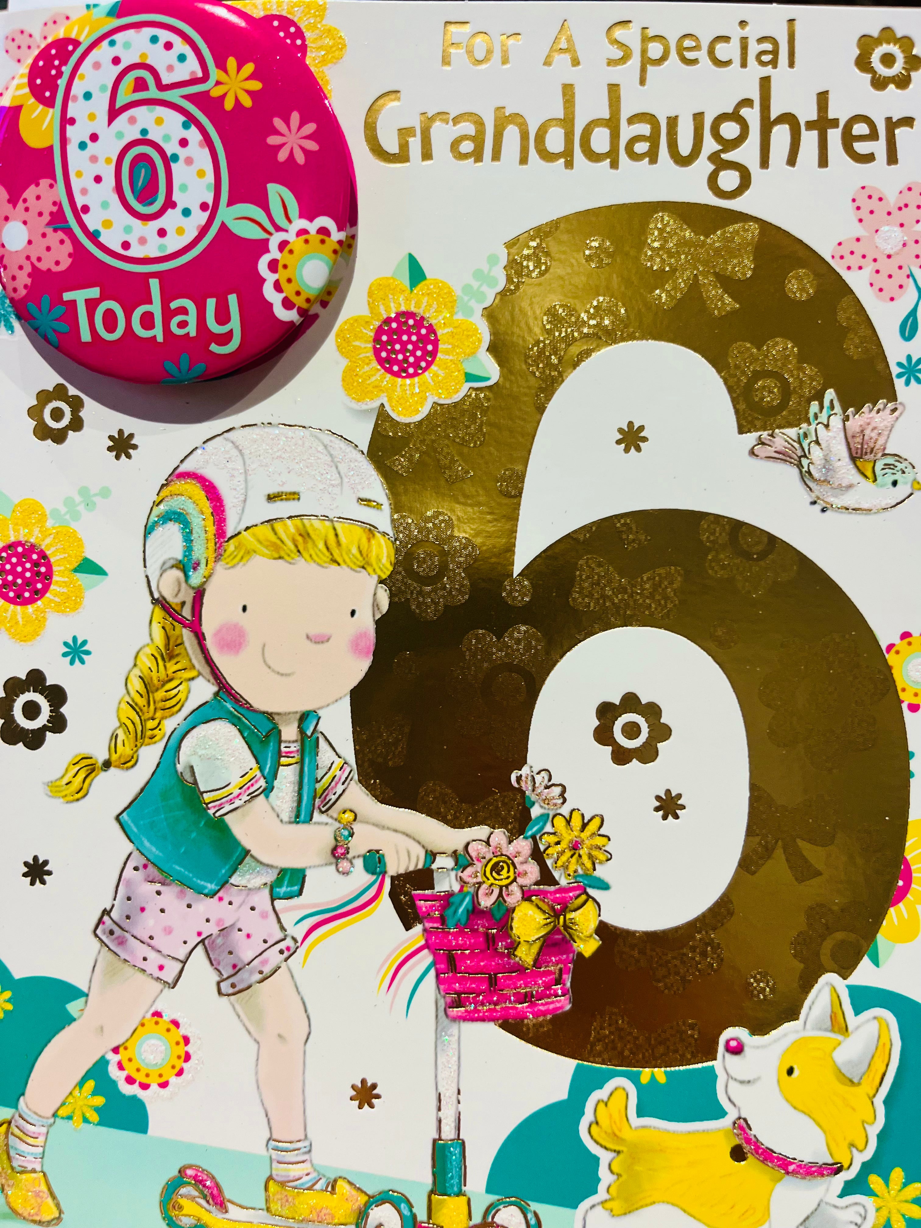 Granddaughter's 6th Birthday Card