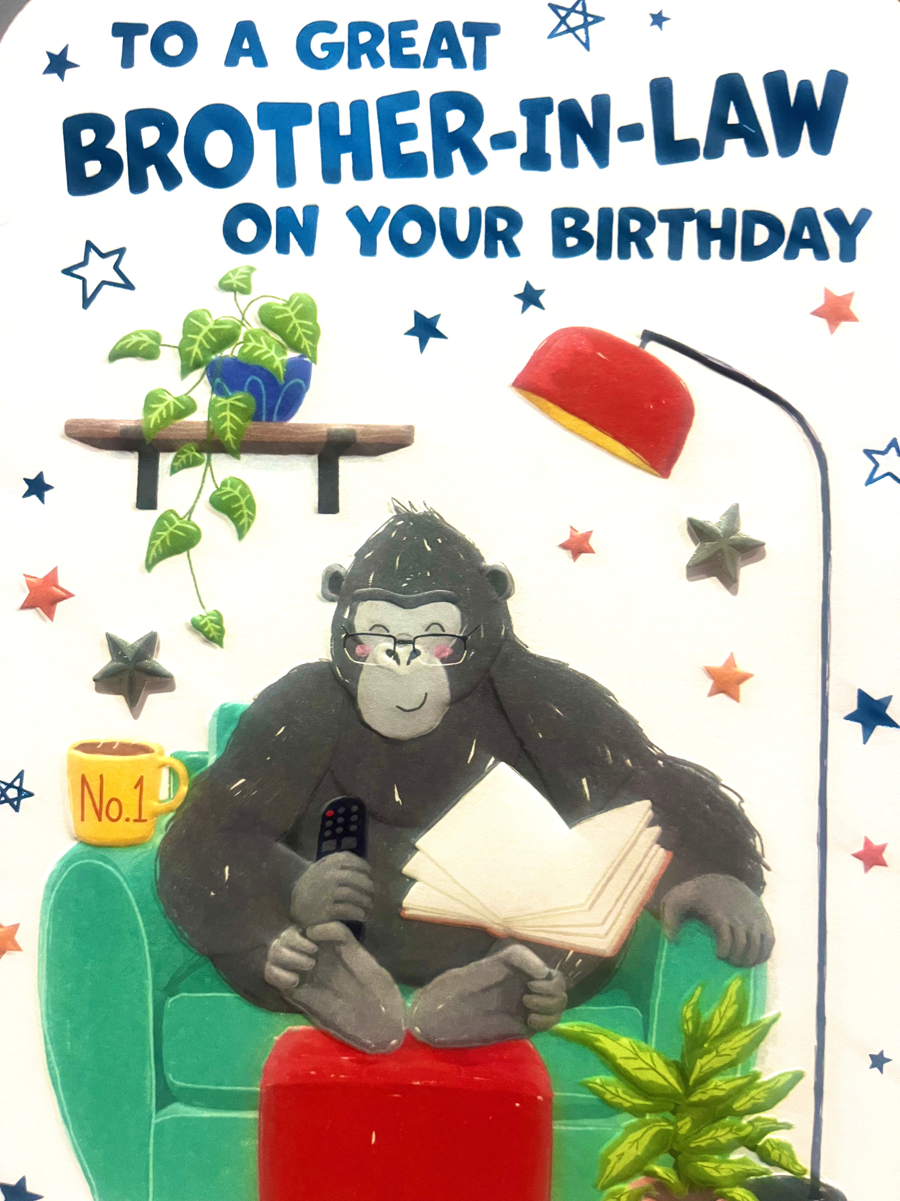 Brother in Law Birthday Card
