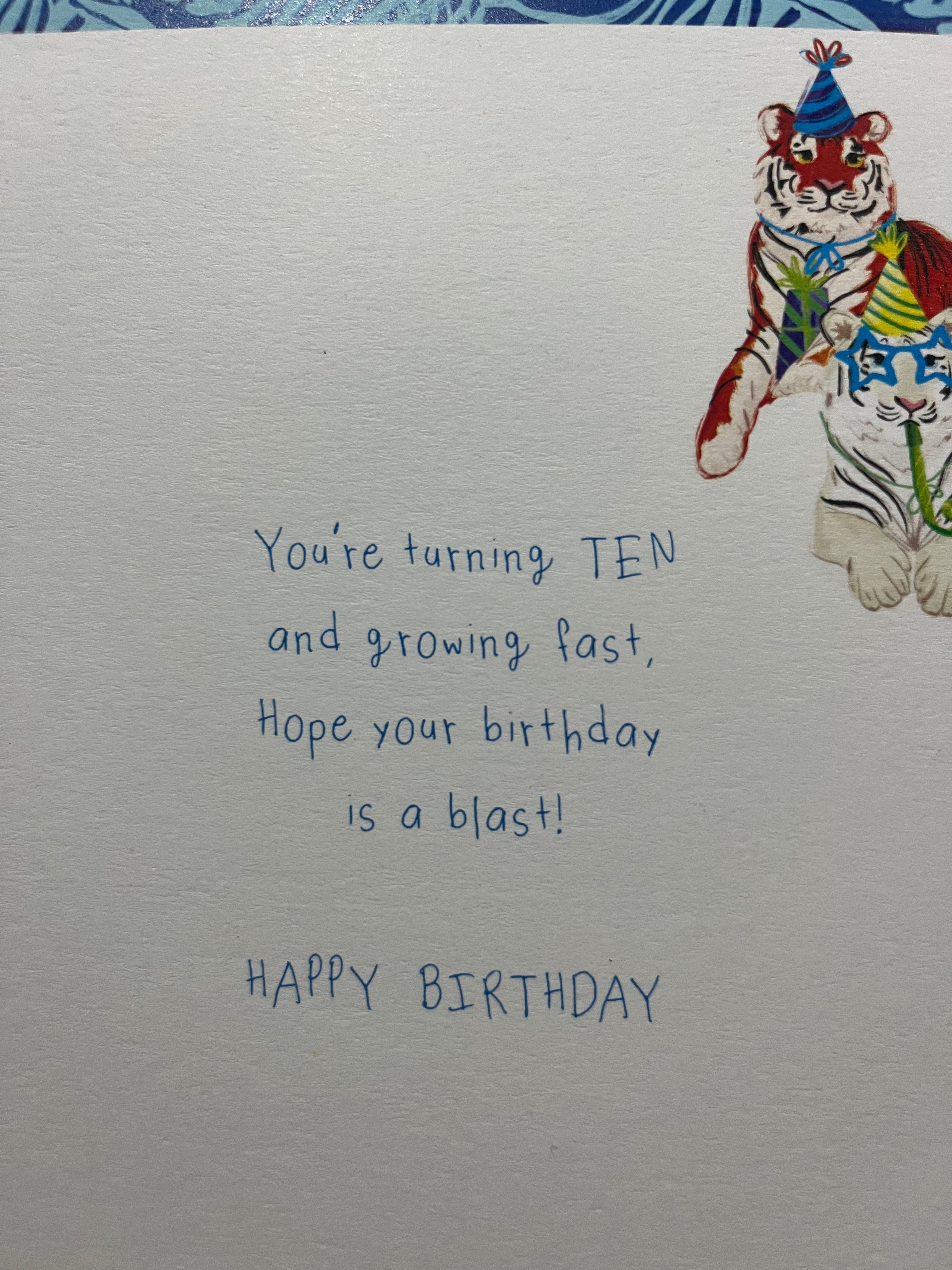Age 10 Male Birthday Card