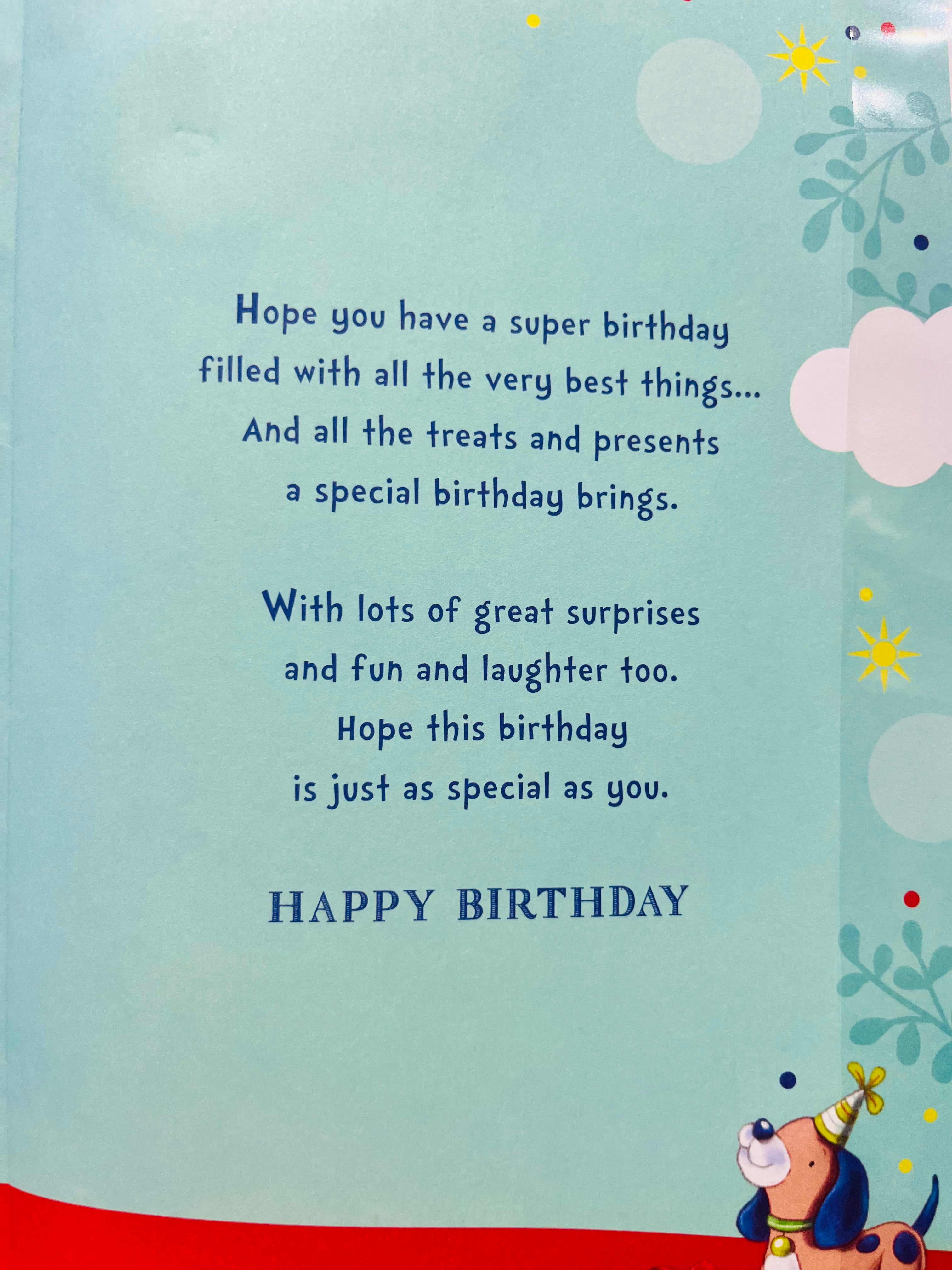 Grandson's 6th Birthday Card