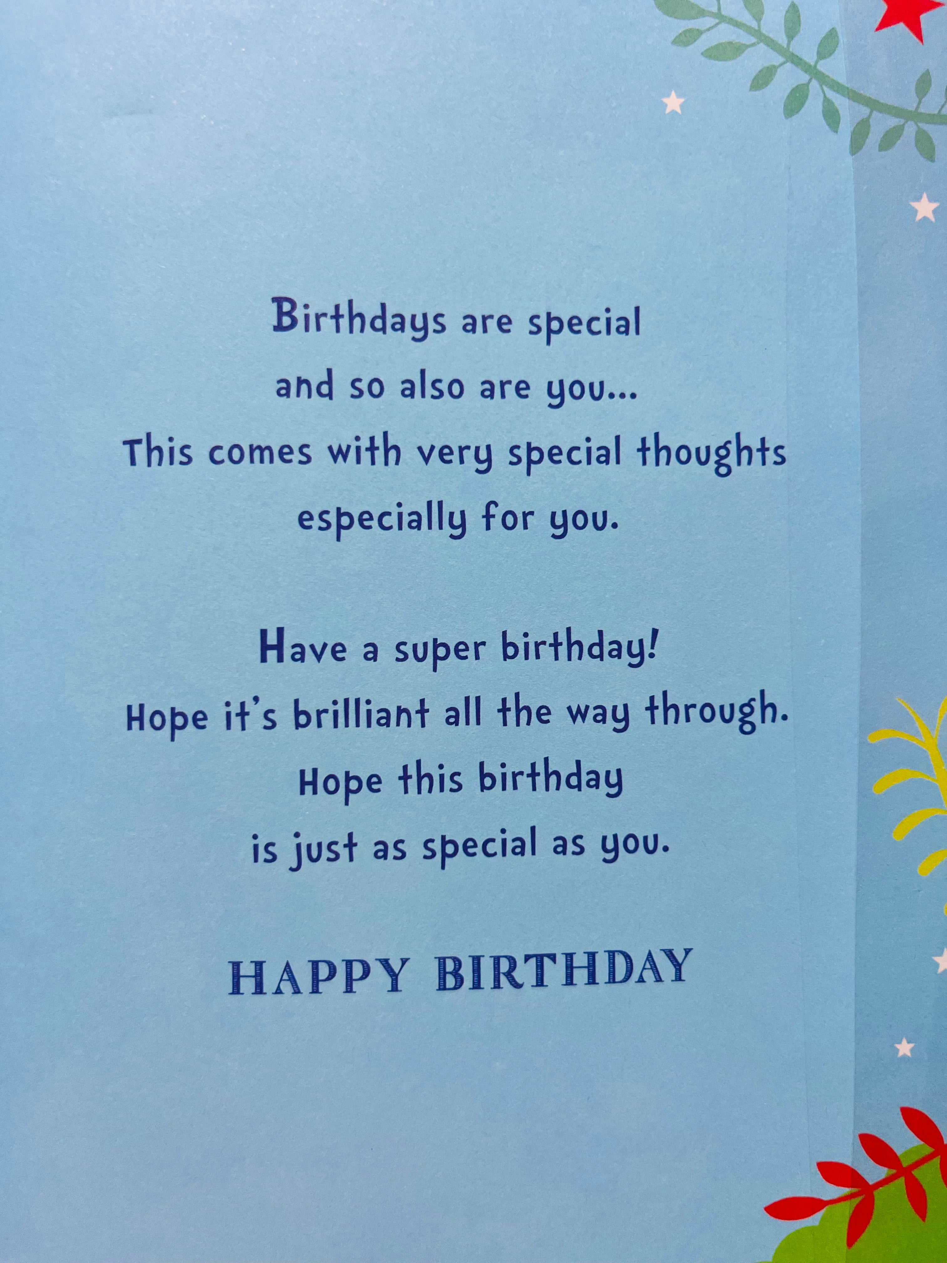 Grandson's 8th Birthday Card
