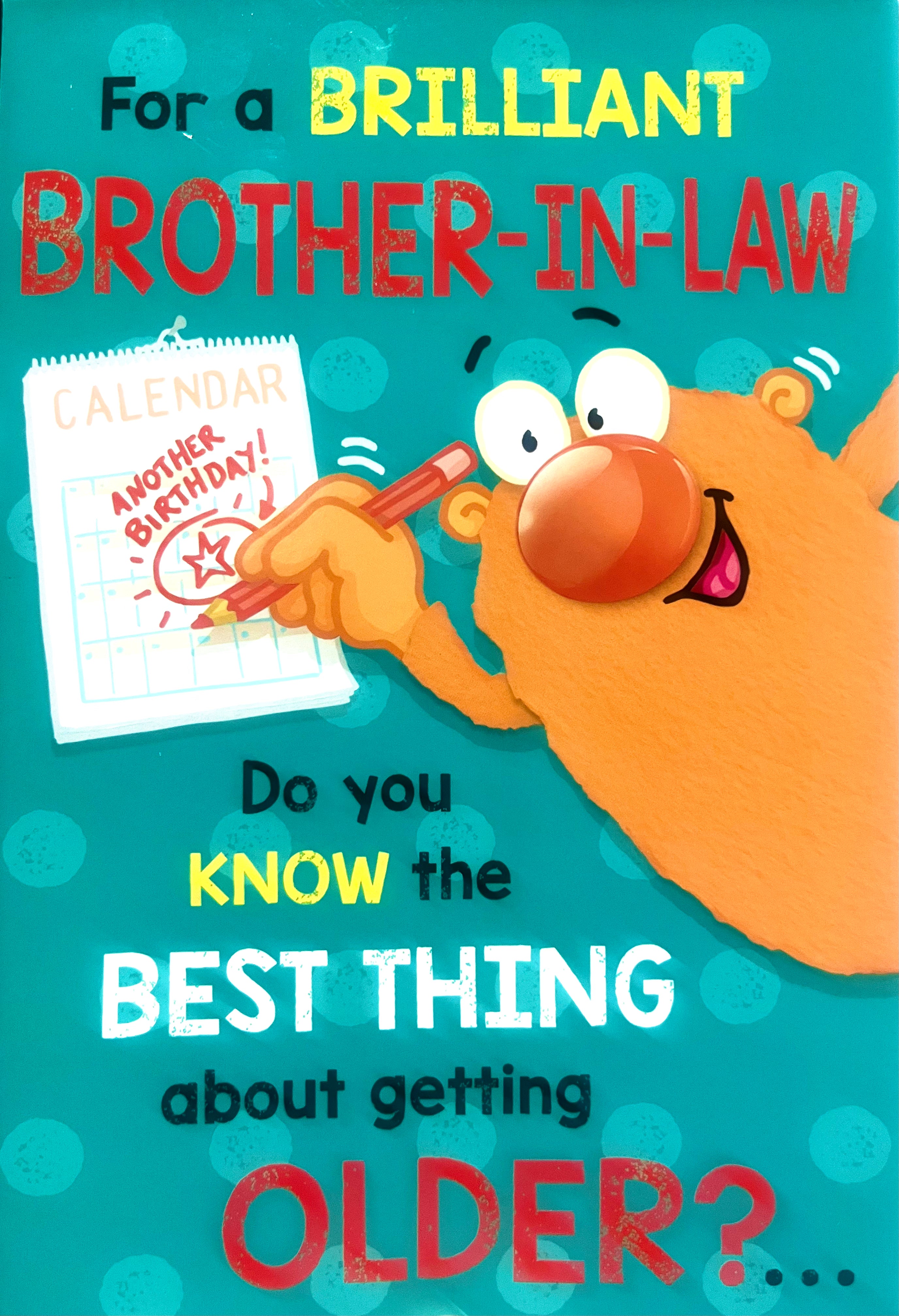 Brother in Law Birthday Card